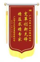 白云電氣集團(tuán)贈(zèng)送正睿咨詢變革創(chuàng)新先鋒，精益求精專家錦旗