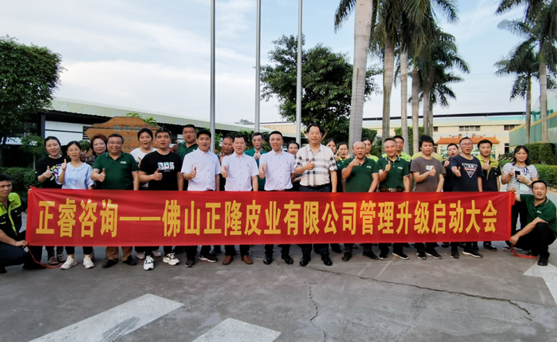 助力皮革行業(yè)再樹標(biāo)桿——正隆皮業(yè)全面管理升級項目啟動！