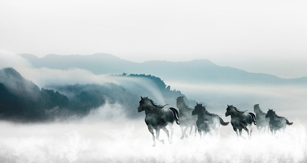 企業(yè)戰(zhàn)略規(guī)劃：為企業(yè)制定全面、長(zhǎng)遠(yuǎn)的發(fā)展戰(zhàn)略