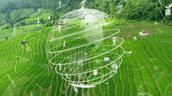 制定年度經營計劃：實現可持續(xù)發(fā)展目標
