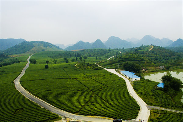 清遠(yuǎn)年度經(jīng)營(yíng)計(jì)劃咨詢公司如何助企業(yè)精準(zhǔn)規(guī)劃？