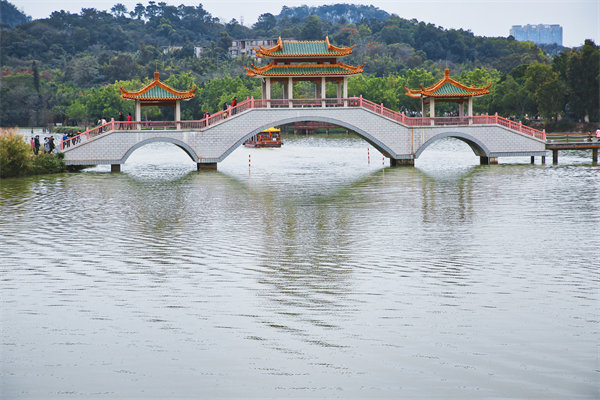肇慶戰(zhàn)略咨詢公司如何為企業(yè)定制長遠(yuǎn)發(fā)展規(guī)劃？