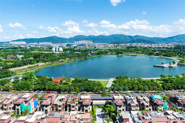 漳州戰(zhàn)略咨詢公司如何為企業(yè)定制長遠發(fā)展藍圖？