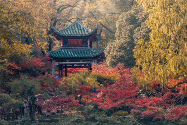 長沙薪酬咨詢公司如何設(shè)計合理的薪酬結(jié)構(gòu)與體系？