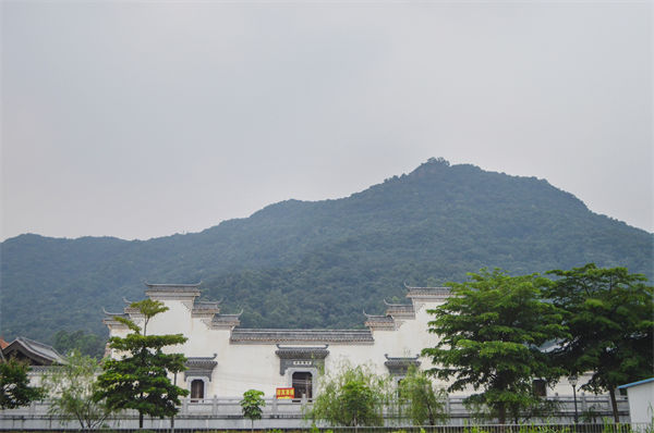 佛山組織規(guī)劃咨詢公司如何優(yōu)化企業(yè)人才梯隊建設？