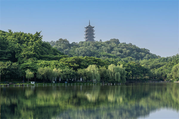 如何評估佛山集團管控咨詢公司的服務質量和效果？