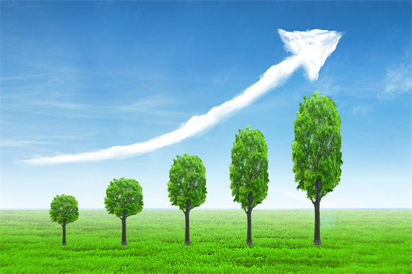 植樹就是植未來，對企業(yè)的戰(zhàn)略規(guī)劃有哪些啟示？