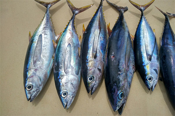 商務(wù)部：將幫助外貿(mào)企業(yè)擴(kuò)寬內(nèi)銷(xiāo)渠道，政策解讀！