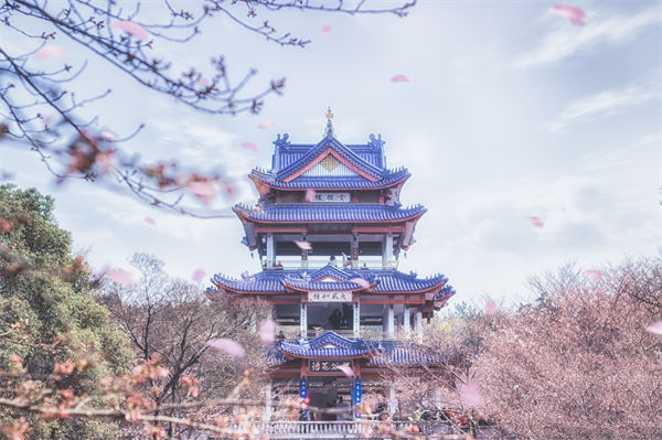 供應(yīng)鏈成本居高不下，無錫供應(yīng)鏈咨詢公司如何精準(zhǔn)砍出利潤空間？