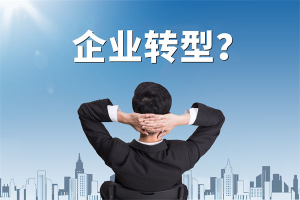 企業(yè)轉(zhuǎn)型無方向，數(shù)智化咨詢公司能否指引明路？